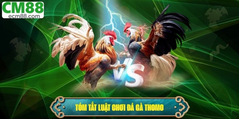 Tóm tắt luật chơi cần nắm rõ khi tham gia đá gà Thomo